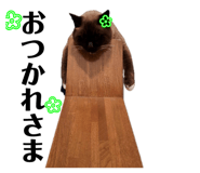 847143856