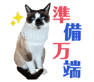 847143920