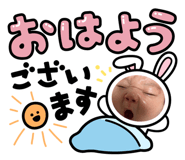 847144006