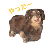 847144204