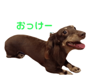 847144205