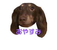 847144207
