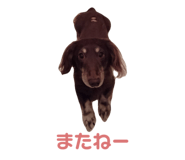 847144208