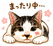847144531