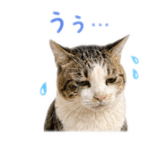 847144543
