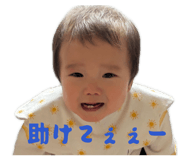 847144586