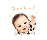 847146506