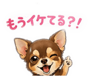 847146975