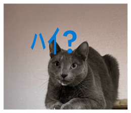 847147656
