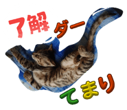 847148336