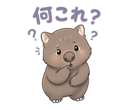 847162072