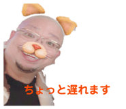 847162254