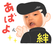 847162641