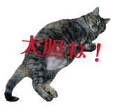 847163554