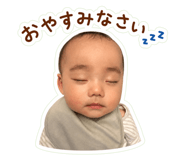 847164404