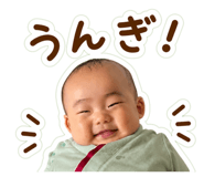 847164408