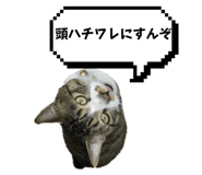 847164995