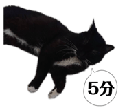 847165001