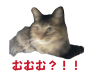 847165003