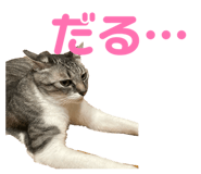 847165586