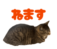 847165590