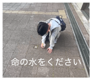 847165677