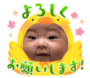 847165690