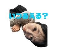 847165794