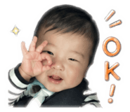 847166561