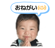 847166575