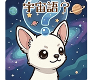 847167668