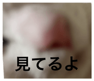 847168322