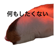 847168323