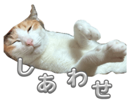 847168324