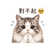 847172341