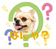 847174560