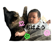 847175827