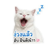 847184531