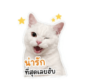 847184532