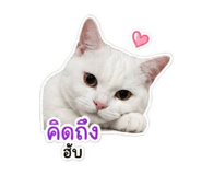 847184533