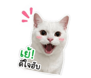 847184535