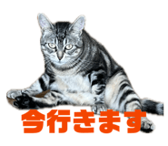847190965