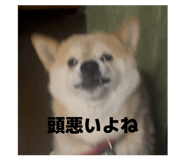 847191810
