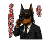 847191911