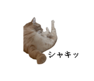 847194433