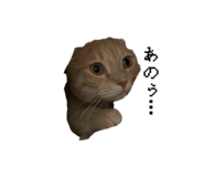 847194438