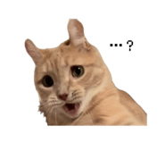 847194441