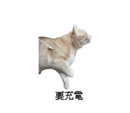 847194444
