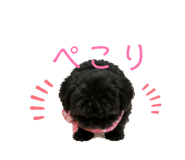 847200967