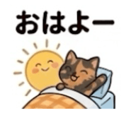 847204097
